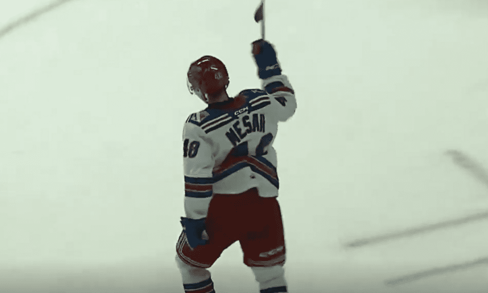 Montreal canadiens prospects FIlip Mesar