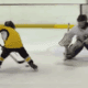lj mooney video montreal canadiens (screenshot)