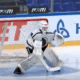 montreal canadiens prospect arseni radkov